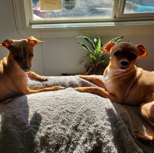 Meet your Posher, Allie